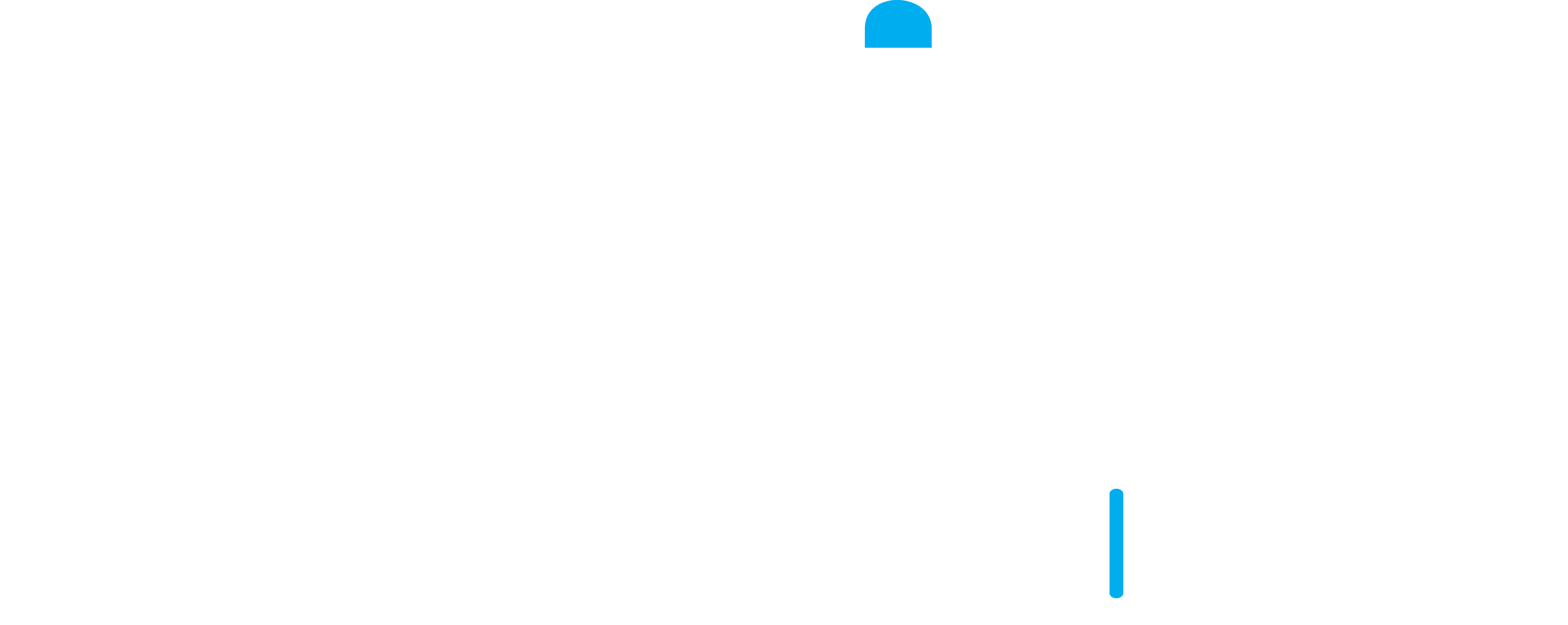 Detailers India